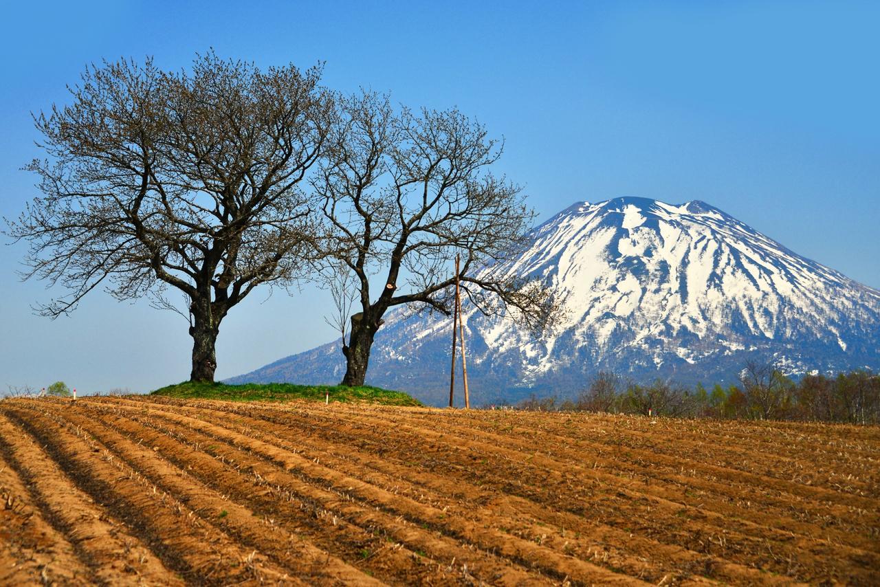 Hotel Niseko Alpen Kutchan Zewnętrze zdjęcie